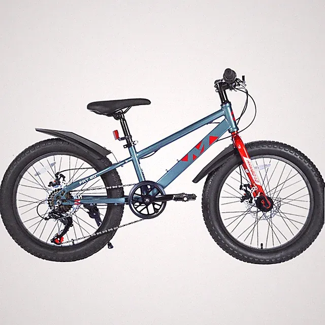 20in Mountain Bike 3.0 Fat Tire Dual-Disc Brake,7-Speed for Bicycle Kids Age 5+