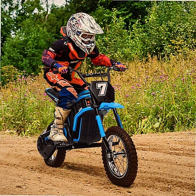 24V Ride on Dirt Bike 300W Electric Motorcycle Off Road Bike Toys for 3-12 Kids