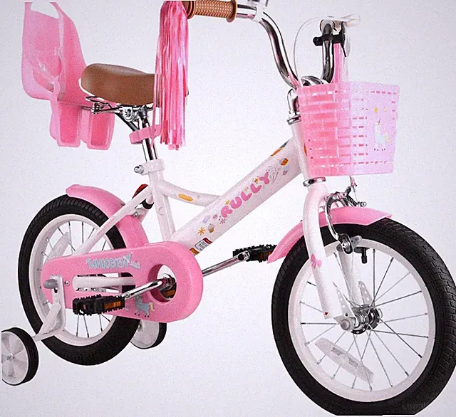 Kids Bike 12 14 16 Inch for 2-7 Years Girls with Training Wheels & Front Handbra