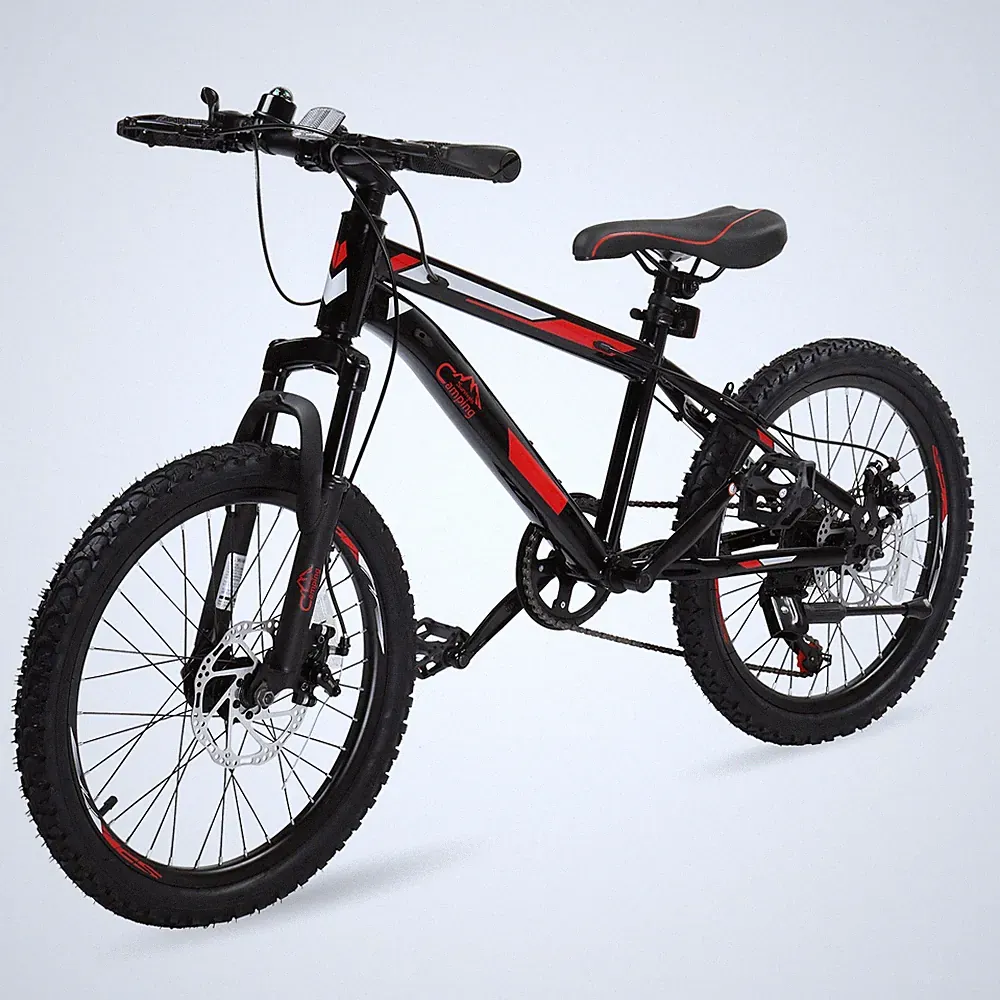 Kids Mountain Bike, 20 inch Kids' Mountain Bicycles for Young Riders