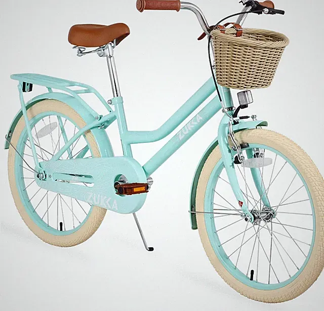 ZUKKA 20 Inch Girls Bike for Kids, Single Speed Kids' Bicycles with Basket,Green
